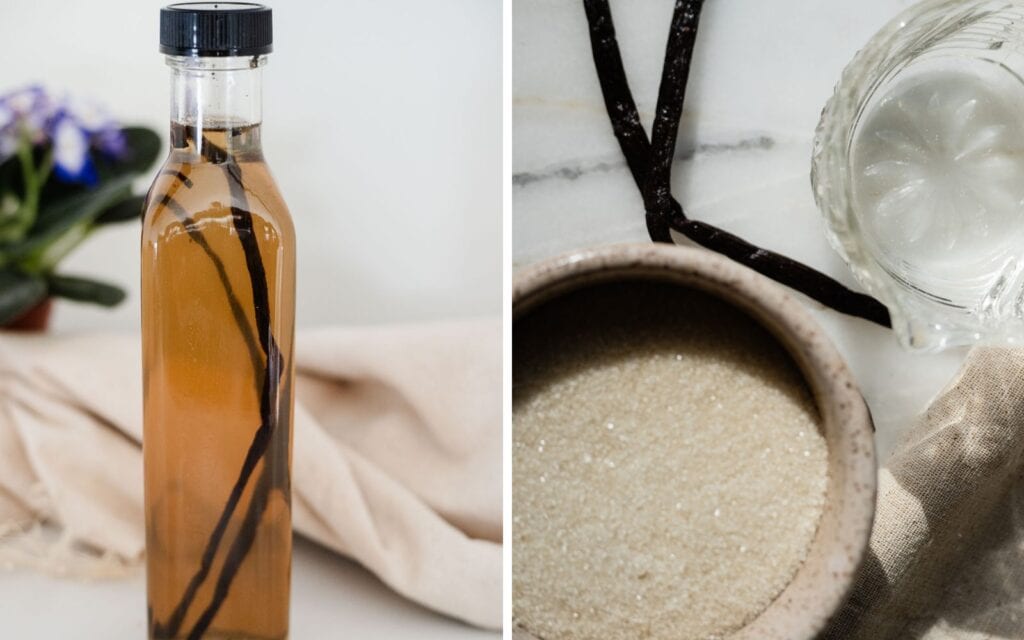 Overhead view of granulated sugar, a cup of water, and vanilla beans laid out on a countertop in preparation for making vanilla simple syrup from scratch.