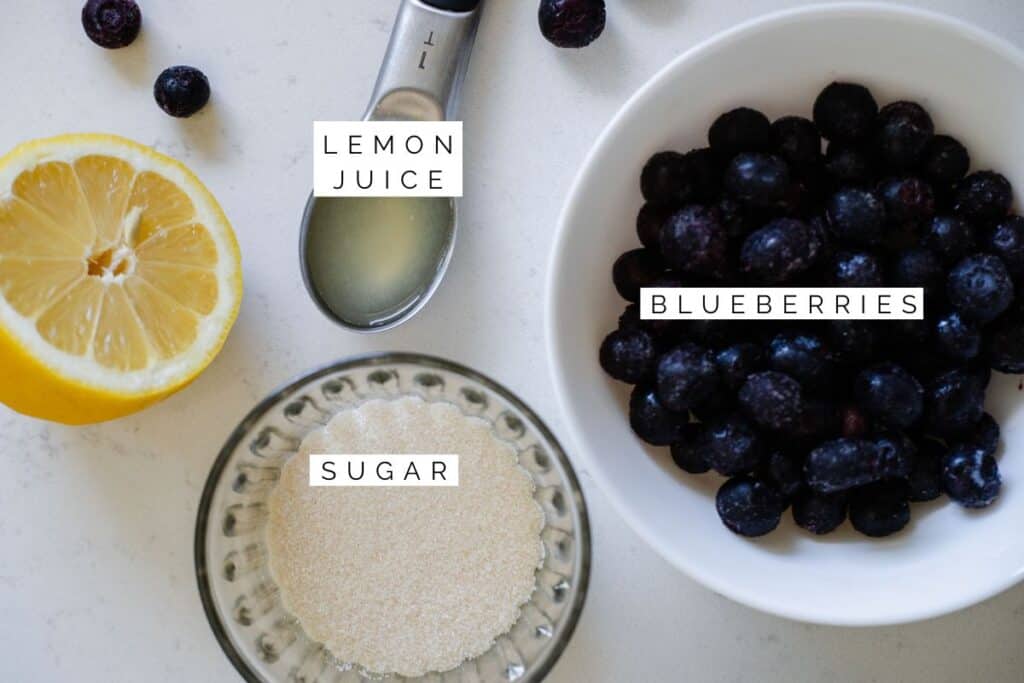 A flat lay of blueberry sauce ingredients: fresh blueberries, sugar, lemon