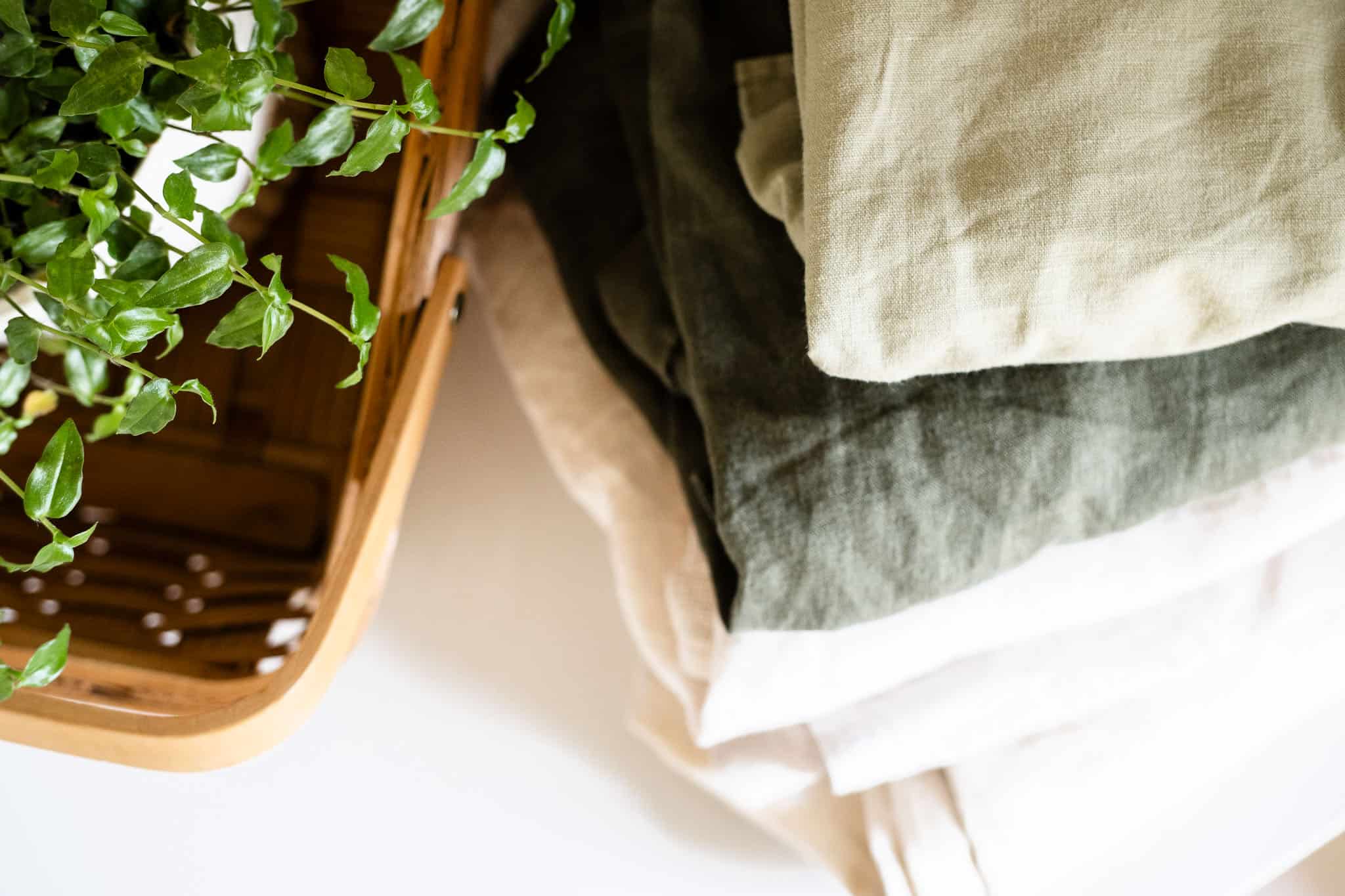 plant with fabric