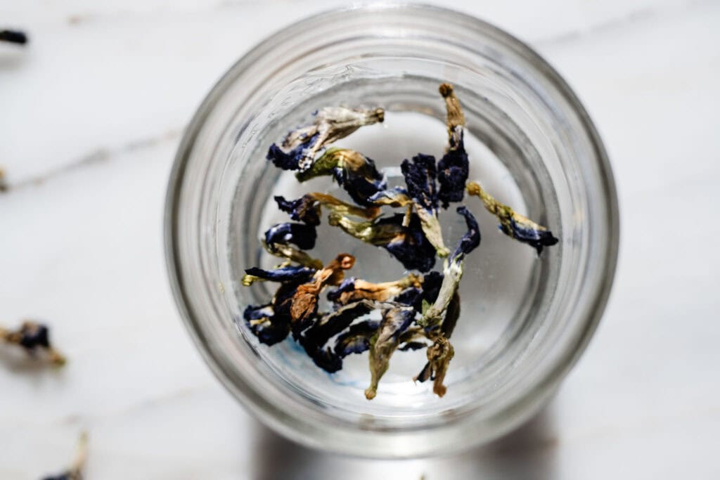 butterfly pea tea flowers in water ready to steep