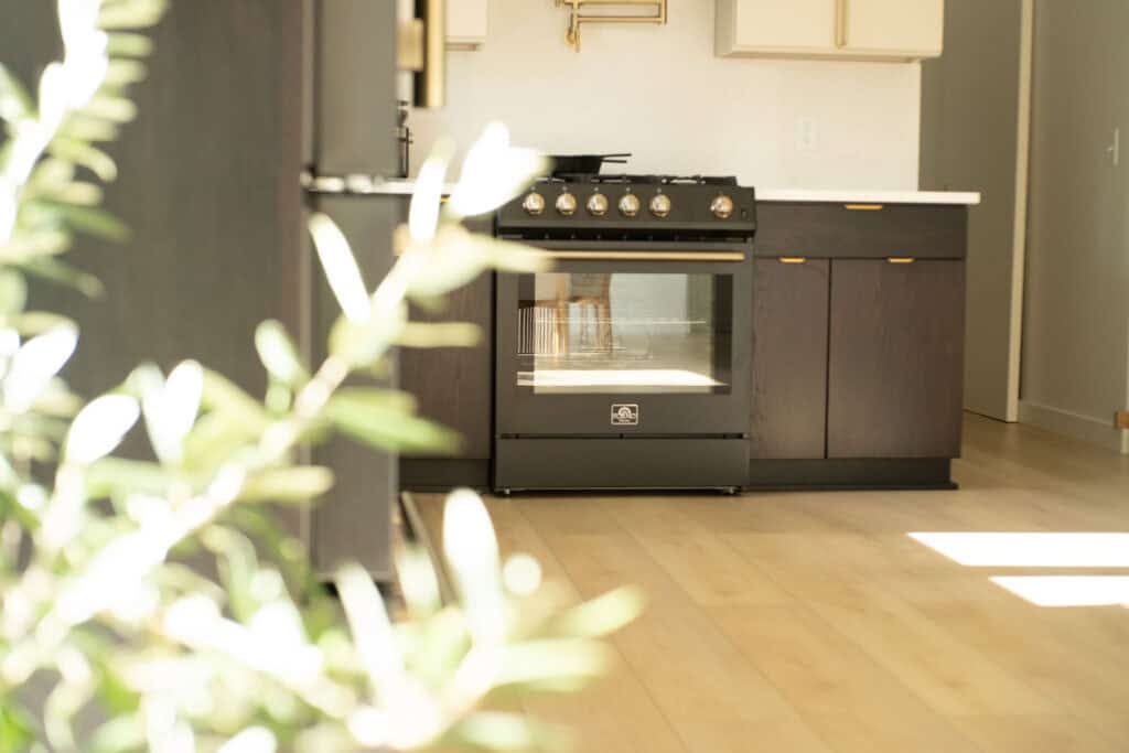 stove in view from behind a plant