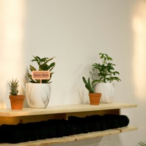 potted plants with label